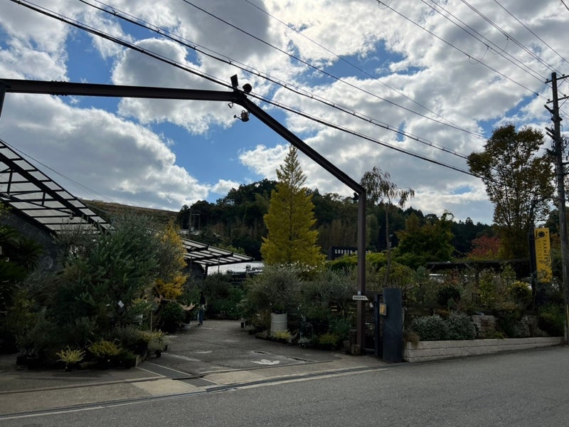 日曜日のご機嫌と月曜日の不機嫌 - 新進工房