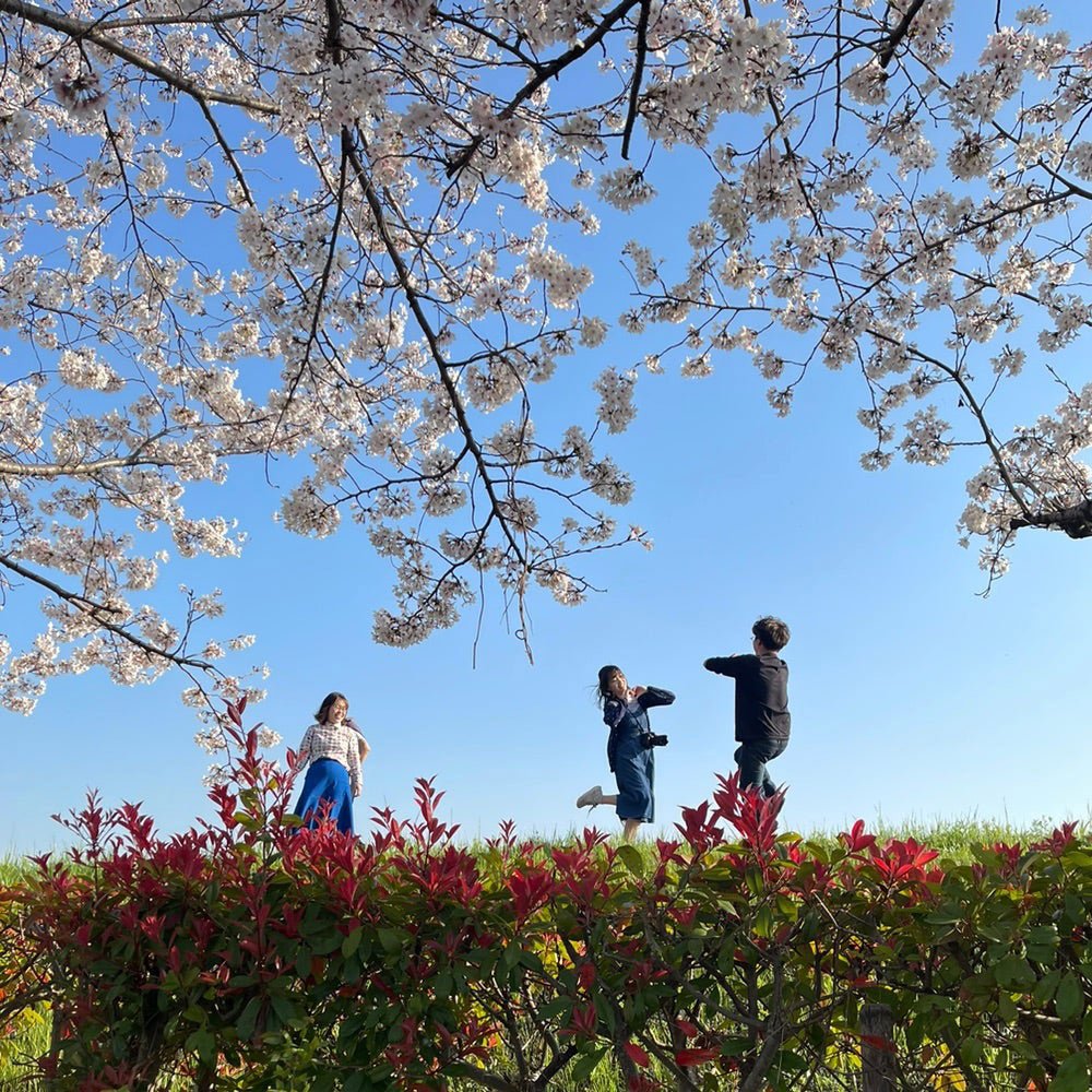 sexy? - 新進工房