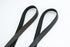 トリ<br> - Premium Leather - SINSIN