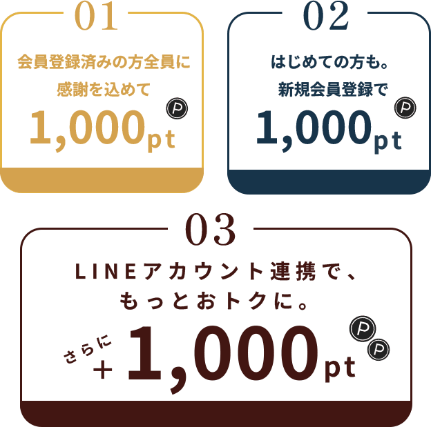 POINT CAMPAIGN 01 02 03